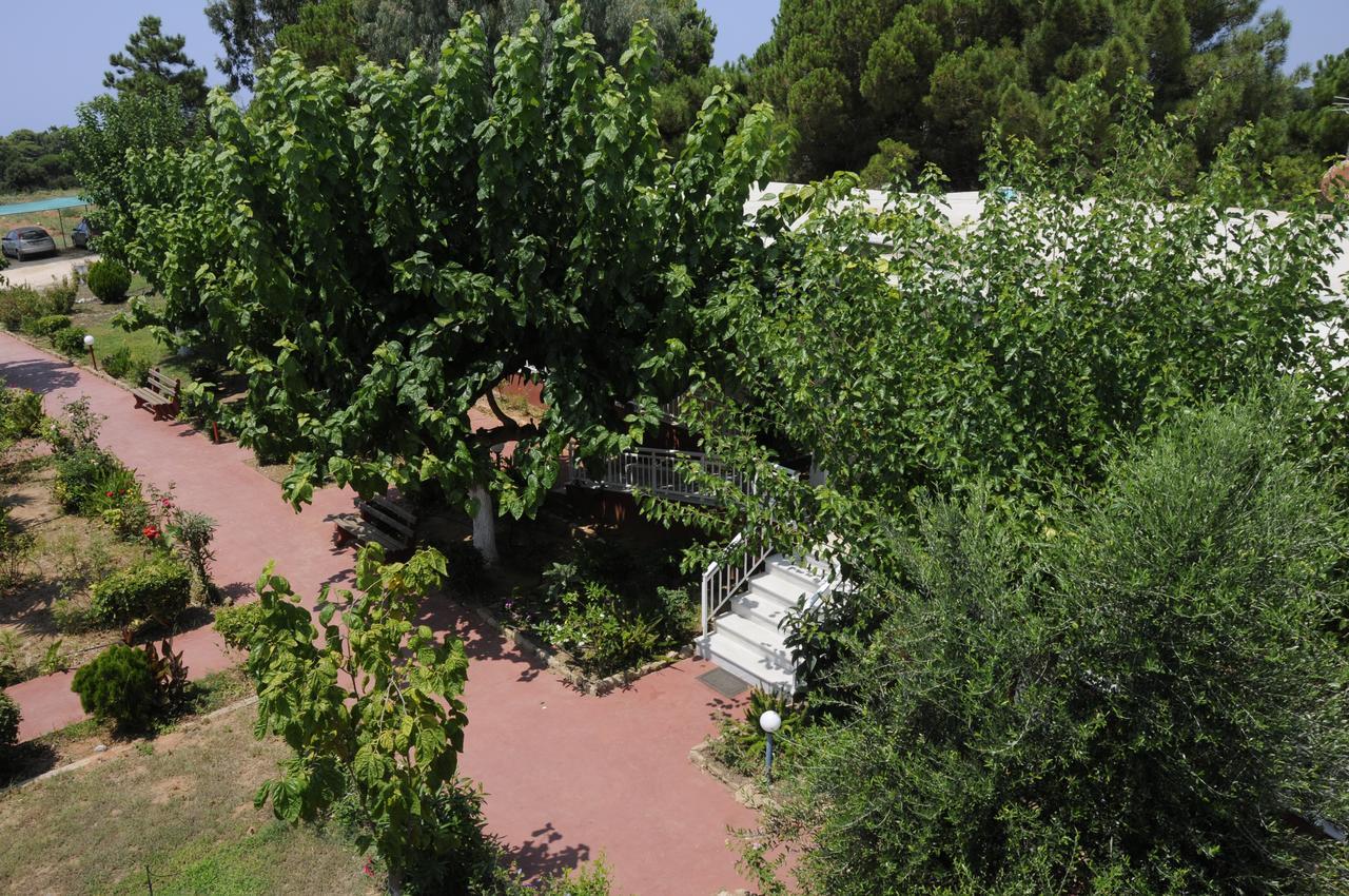 Apartments Hotel Alexandros Arkoudi Bagian luar foto